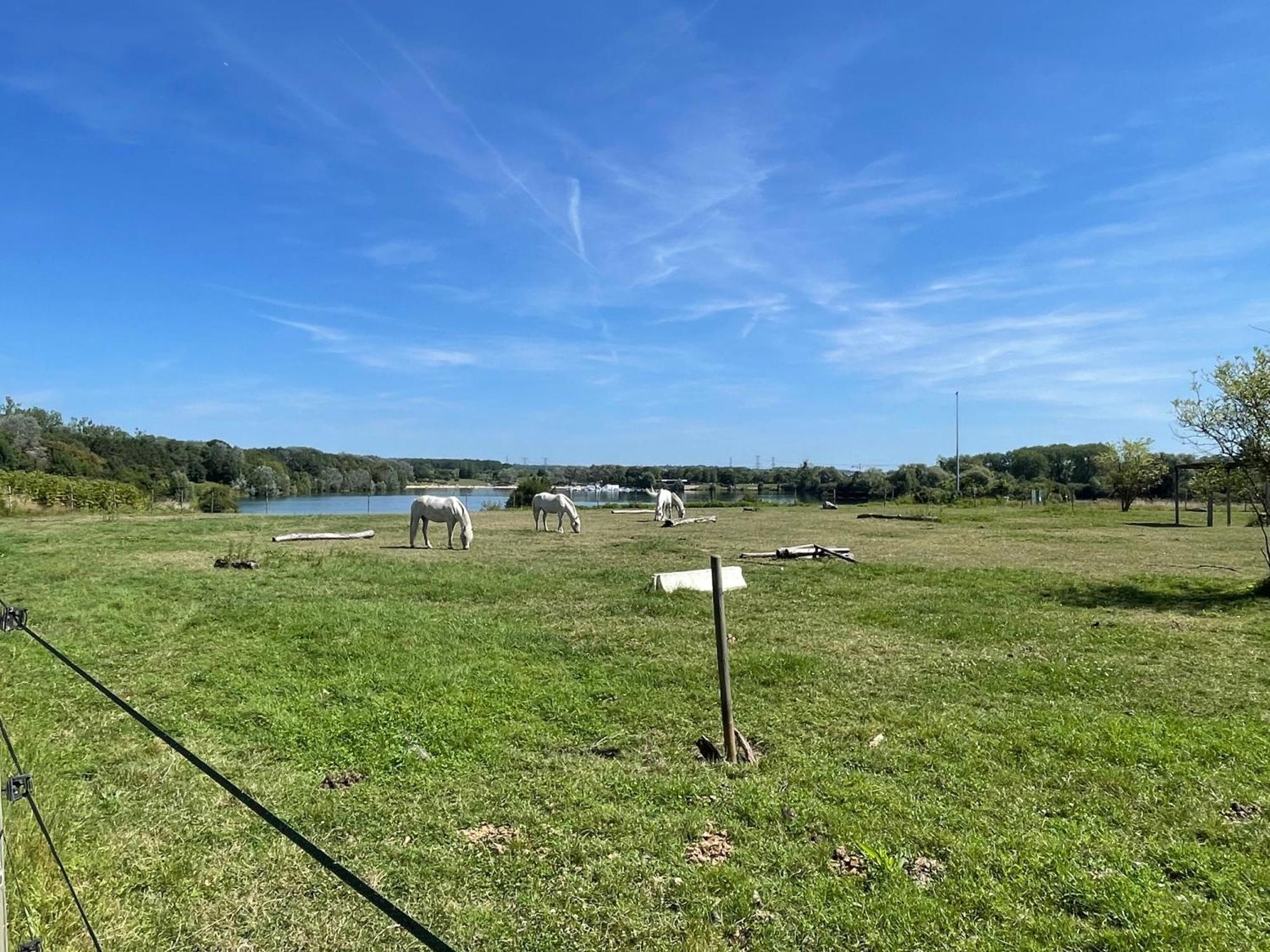 Chambre Climatisee, Entre Paris Disneyland, Au Coeur Des Jeux Olympiques Canoe-Kayak, Vaires-sur-Marne Esterno foto